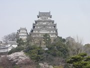 春の姫路城2008